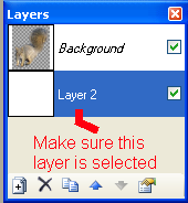 thenewlayer-1.png