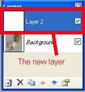 thenewlayer.png