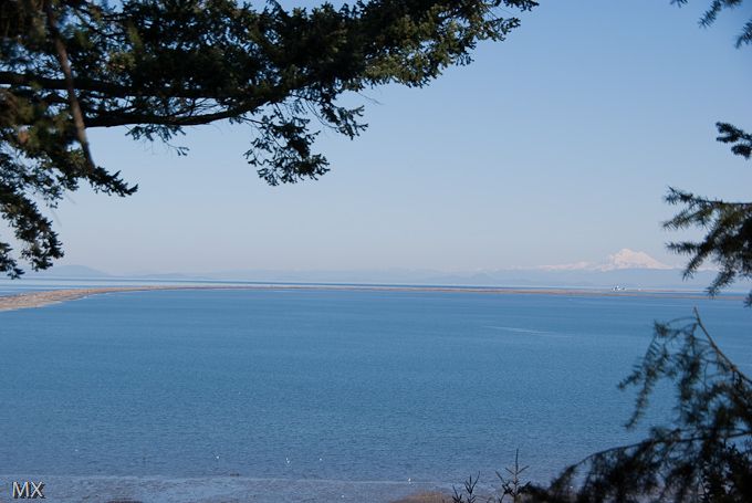 世界尽头的灯塔--Dungenese沙嘴漫步