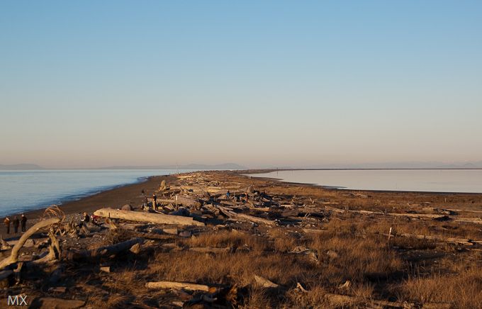 世界尽头的灯塔--Dungenese沙嘴漫步