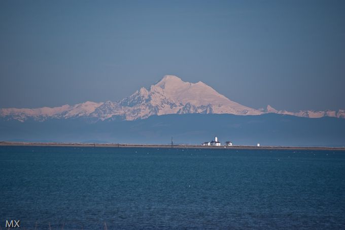 世界尽头的灯塔--Dungenese沙嘴漫步