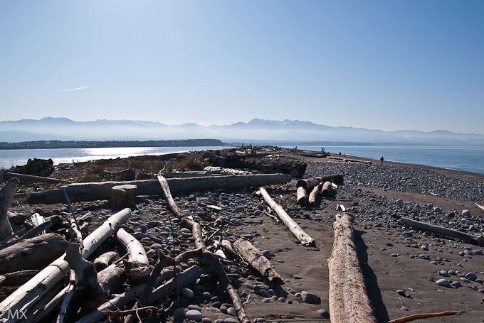 世界尽头的灯塔--Dungenese沙嘴漫步