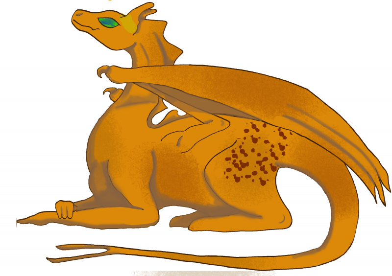 BlankBrown2.png