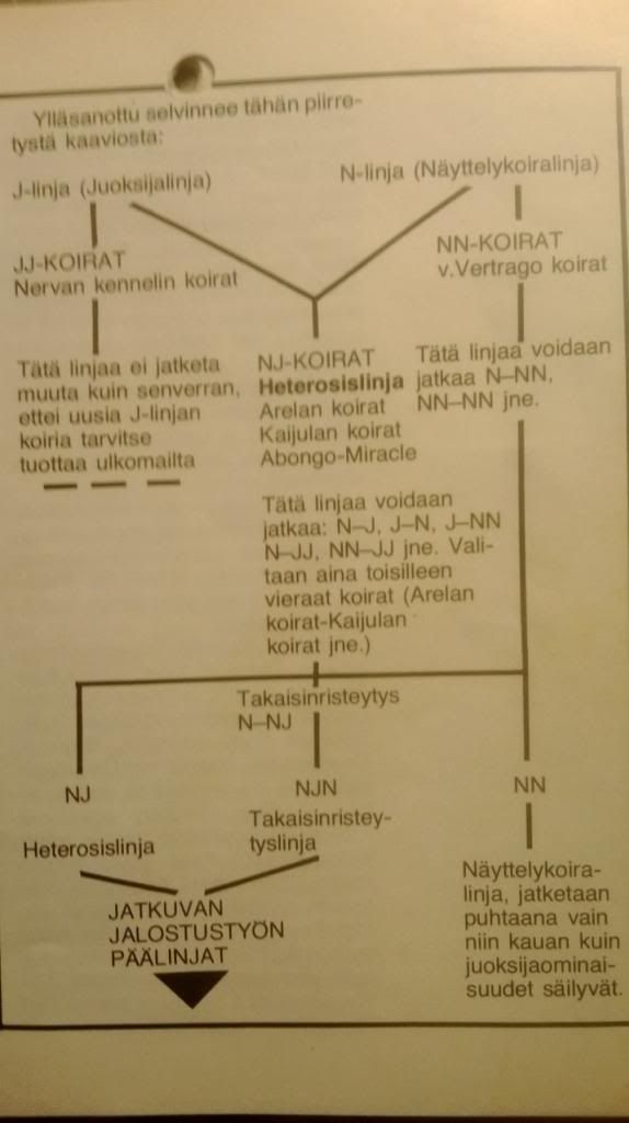 Kuva
