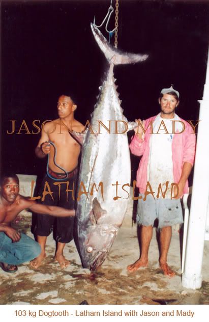   Tanzanian Record on 130 lbs
- Dogtooth 103 Kg
- Place: Latham Island 2005
- Boat: Kelly II
- Skipper: Maddalena Martinengo
- Mate: Jason Alexiou, Bernard