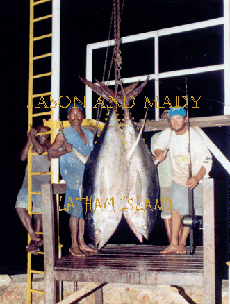   Tanzanian Record 130 lbs - 95 kg
- YF Tuna, 95 and 85 kg
- Place: Latham Island
- Boat: Kelly II
- Skipper: Maddalena Martinengo
- Mate: Jason Alexiou, Bernard