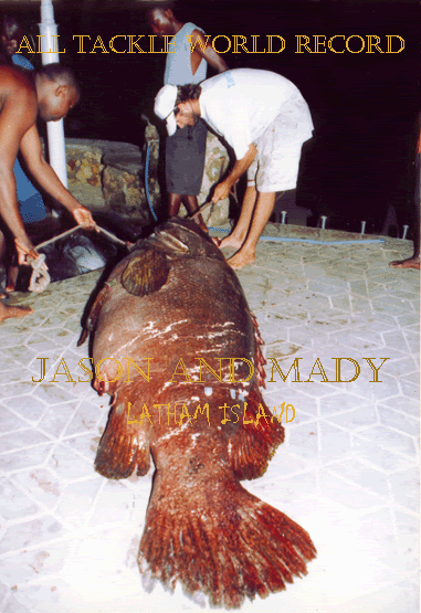 WORLD RECORD ALL TACKLE

- Giant Grouper, 179.50
- Angler: Nelson Shayne
- Place: Latham Island, 12 March 2004
- Boat: Shuwari
- Skipper: Maddalena Martinengo
- Mate: Jason Alexiou, Baraza