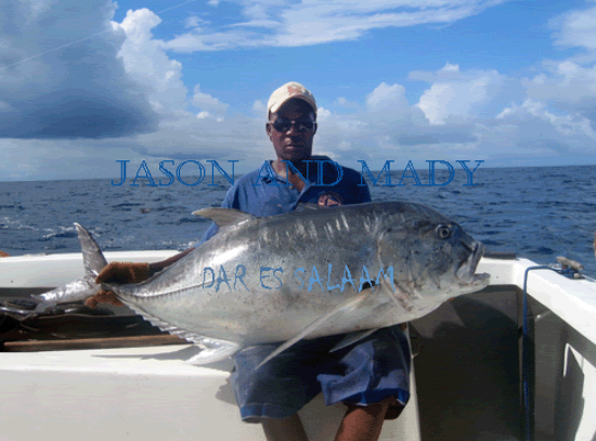   Giant Trevally
- One of the many 24 kg fish
- Place: South Zanzibar Channel April 2006
- Boat: Kelly II
- Skipper: Maddalena Martinengo
- Captain: Jason Alexiou
