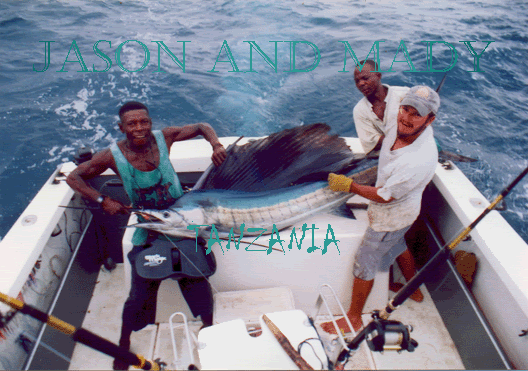 
- Sailfish
- Place: Kimbiji - South Dar
- Boat: Kelly II
- Skipper: Maddalena Martinengo
- Mate: Jason Alexiou, Bernard, Habbasi