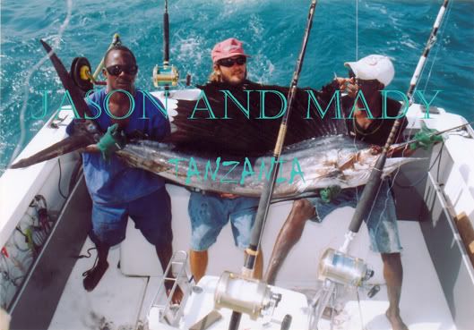 
- Sailfish
- Place: Kimbiji - South Dar
- Boat: Kelly II
- Skipper: Maddalena Martinengo
- Mate: Jason Alexiou, Bernard, Habbasi
