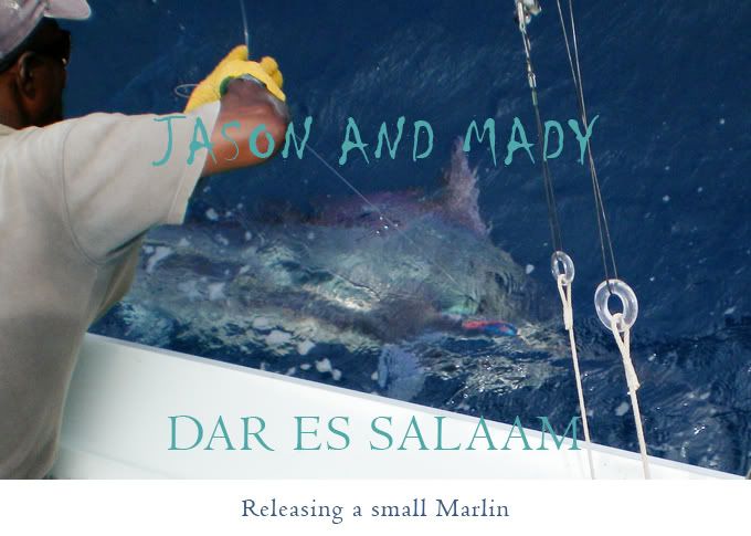   Releasing a Small Marlin
- 2007
- Place: Dar es Salaam, South Zanzibar Channel
- Boat: Kelly II
- Skipper: Maddalena Martinengo
- Mate: Jason Alexiou, Bernard