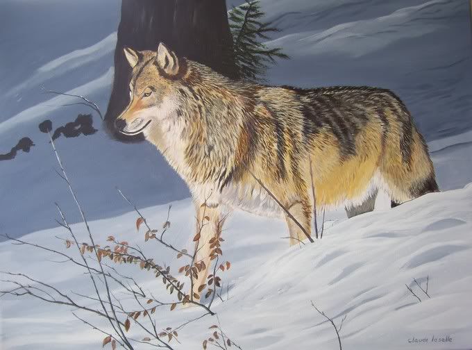 claude_lasalle_loup