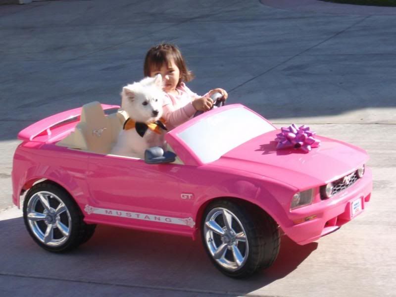 pink barbie mustang