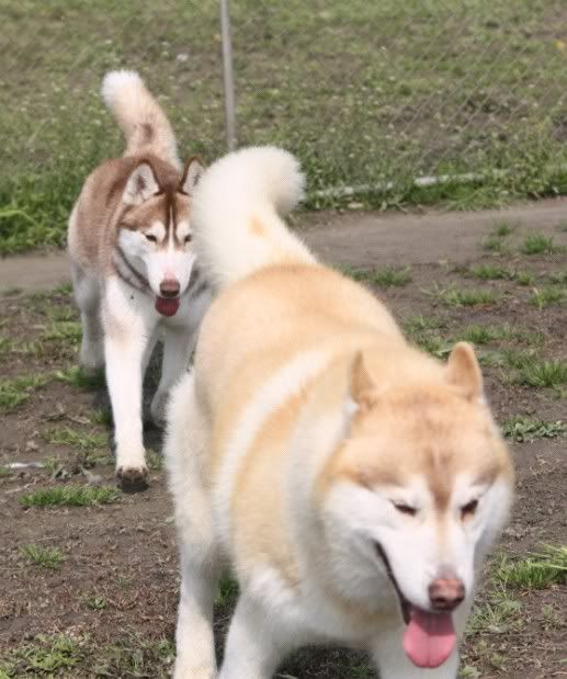 IMAGE: http://i86.photobucket.com/albums/k86/myelodiya/Faith/25.jpg