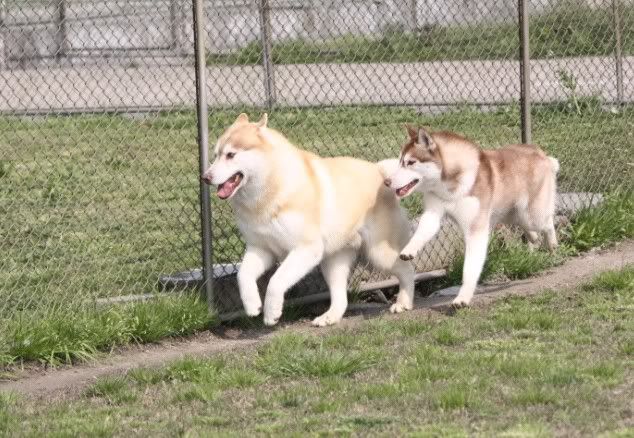 IMAGE: http://i86.photobucket.com/albums/k86/myelodiya/Faith/26.jpg