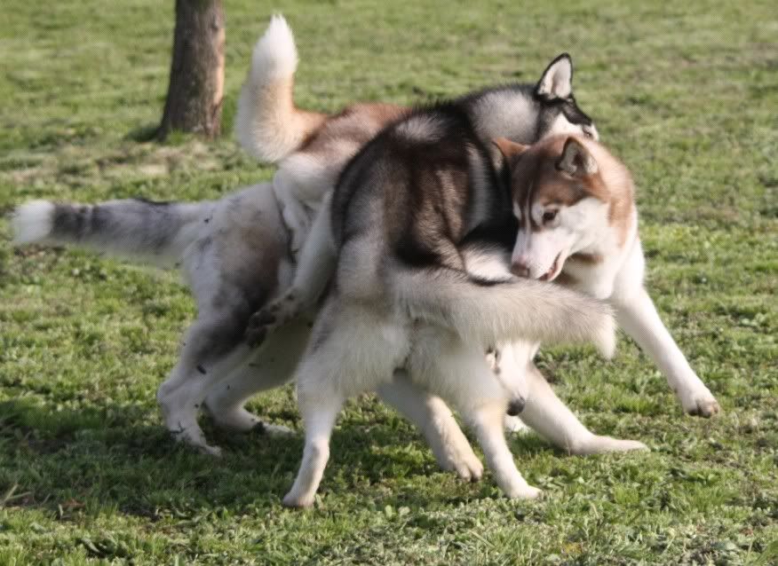 IMAGE: http://i86.photobucket.com/albums/k86/myelodiya/Faith/33-1.jpg