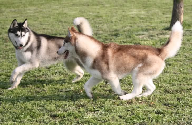 IMAGE: http://i86.photobucket.com/albums/k86/myelodiya/Faith/34.jpg