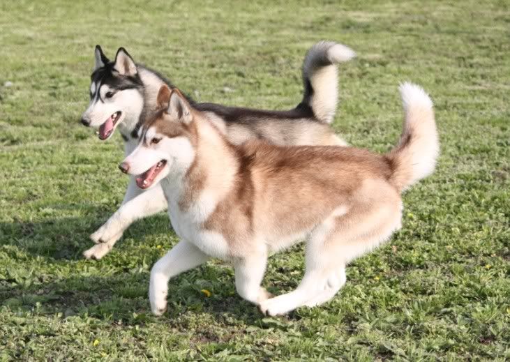 IMAGE: http://i86.photobucket.com/albums/k86/myelodiya/Faith/35.jpg