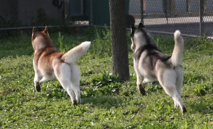 IMAGE: http://i86.photobucket.com/albums/k86/myelodiya/Faith/36.jpg