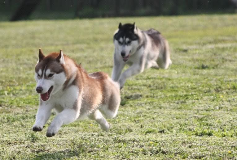 IMAGE: http://i86.photobucket.com/albums/k86/myelodiya/Faith/37.jpg