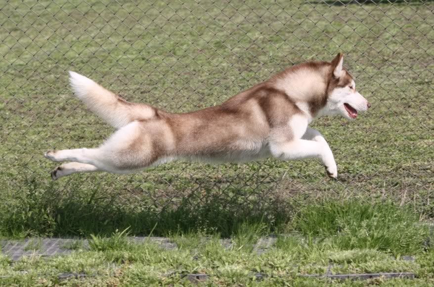 IMAGE: http://i86.photobucket.com/albums/k86/myelodiya/Faith/39.jpg