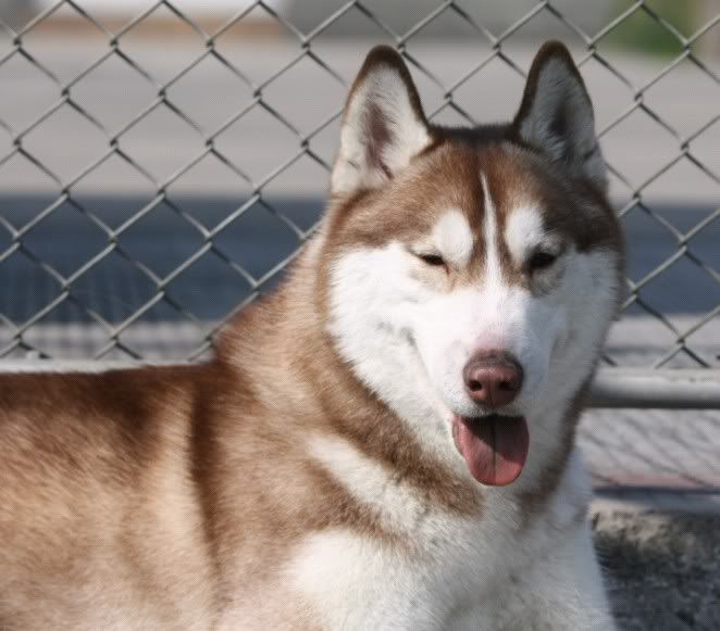 IMAGE: http://i86.photobucket.com/albums/k86/myelodiya/Faith/40.jpg