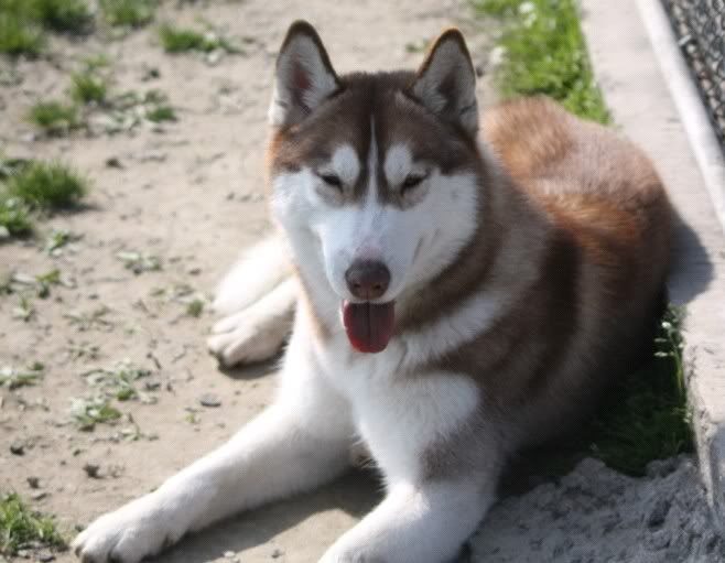 IMAGE: http://i86.photobucket.com/albums/k86/myelodiya/Faith/41.jpg