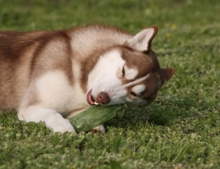 IMAGE: http://i86.photobucket.com/albums/k86/myelodiya/Faith/5-1.jpg