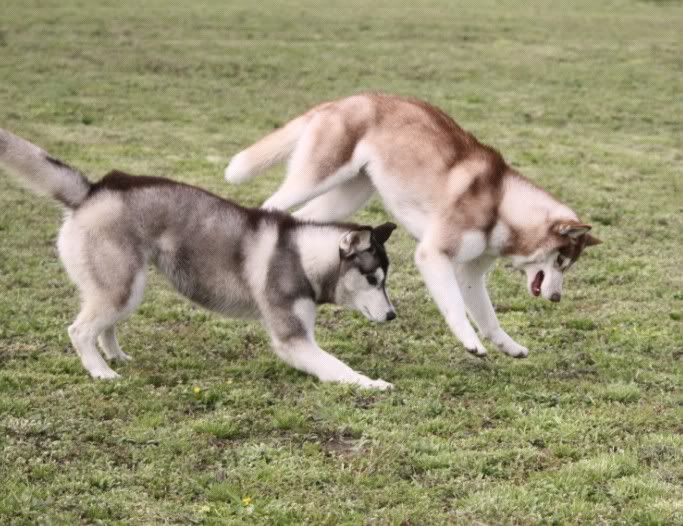 IMAGE: http://i86.photobucket.com/albums/k86/myelodiya/Faith/9-1.jpg