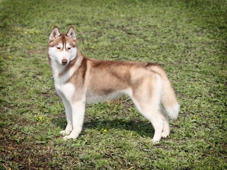 IMAGE: http://i86.photobucket.com/albums/k86/myelodiya/Faith/IMG_65662re-1.jpg