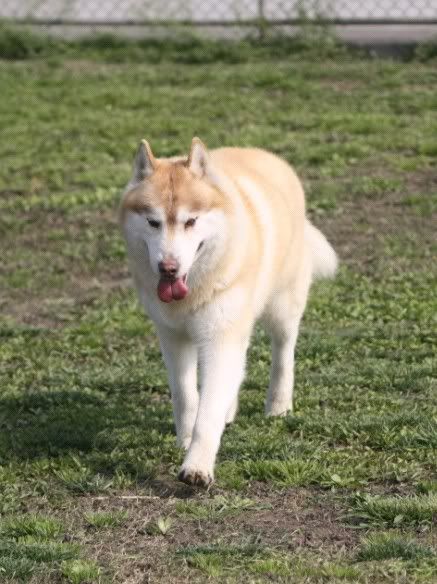 IMAGE: http://i86.photobucket.com/albums/k86/myelodiya/Faith/romeo3.jpg