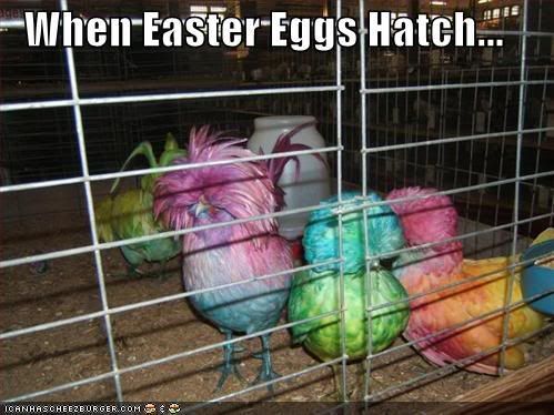 funny-pictures-easter-egg-birds.jpg when easter eggs hatch... image by zangel41