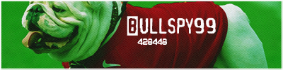 Bullspy99.png