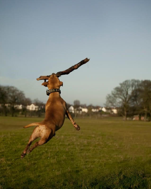 IMAGE: http://i86.photobucket.com/albums/k88/petermcweeny/jodieleap.jpg