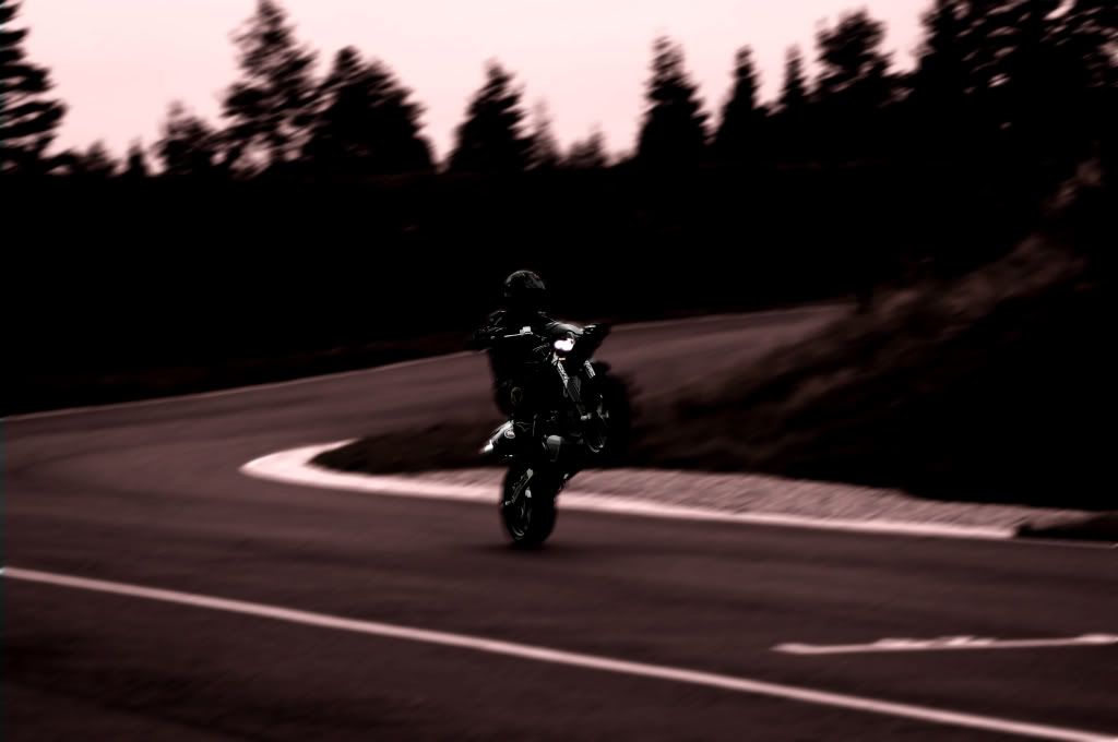 DSC_0104.jpg?t=1226944418