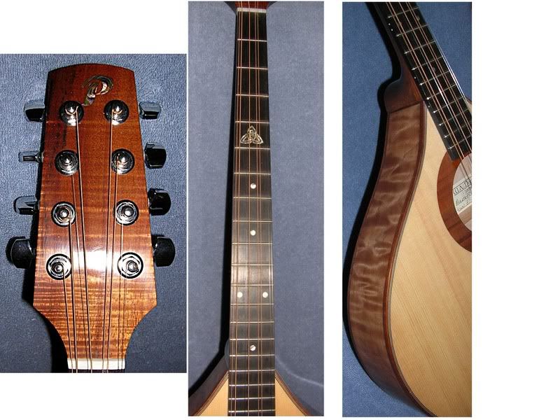 Petersen bouzouki review