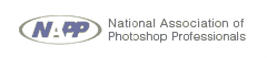 http://i86.photobucket.com/albums/k89/mlw1564/napp_logo-1.gif