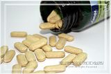 GINKGO BILOBA