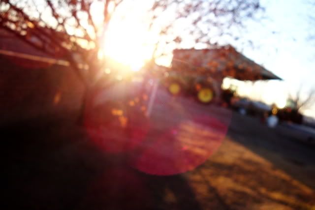 18/365 March 1