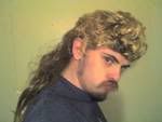 mullet5.jpg