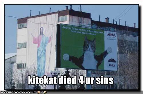 funny-pictures-cat-sign-jesus.jpg