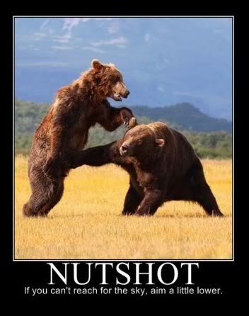 Bear Nut Shot