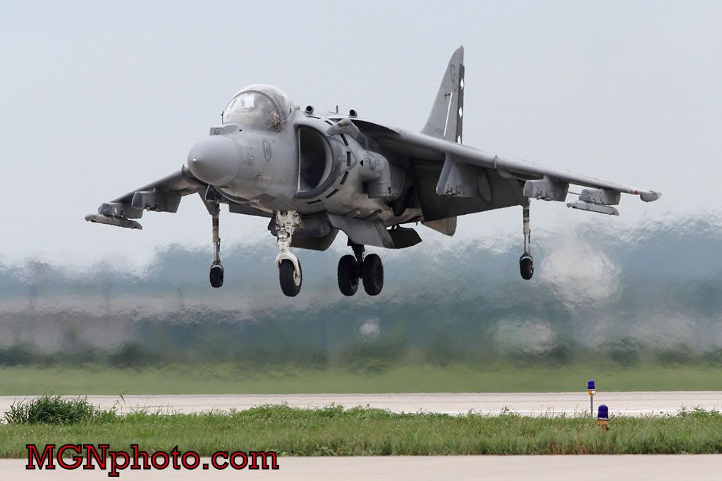 IMAGE: http://i86.photobucket.com/albums/k95/mgnphoto/MGNphoto_1155.jpg