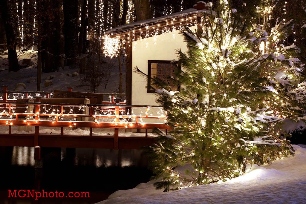 IMAGE: http://i86.photobucket.com/albums/k95/mgnphoto/MGNphoto_1374-1.jpg