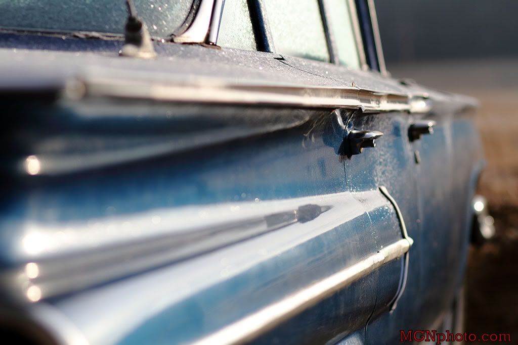 IMAGE: http://i86.photobucket.com/albums/k95/mgnphoto/MGNphoto_3198.jpg