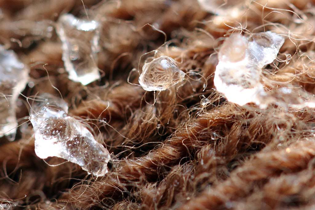 IMAGE: http://i86.photobucket.com/albums/k95/mgnphoto/MGNphoto_4465.jpg