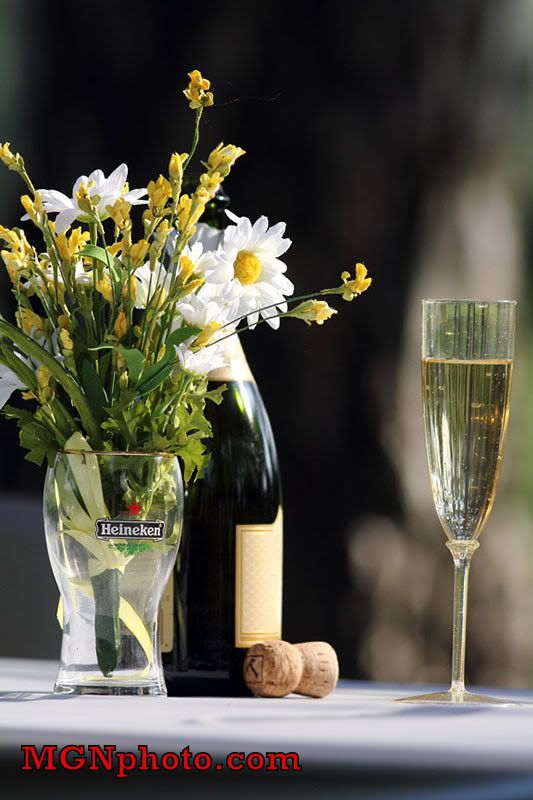 IMAGE: http://i86.photobucket.com/albums/k95/mgnphoto/MGNphoto_5083_June18.jpg