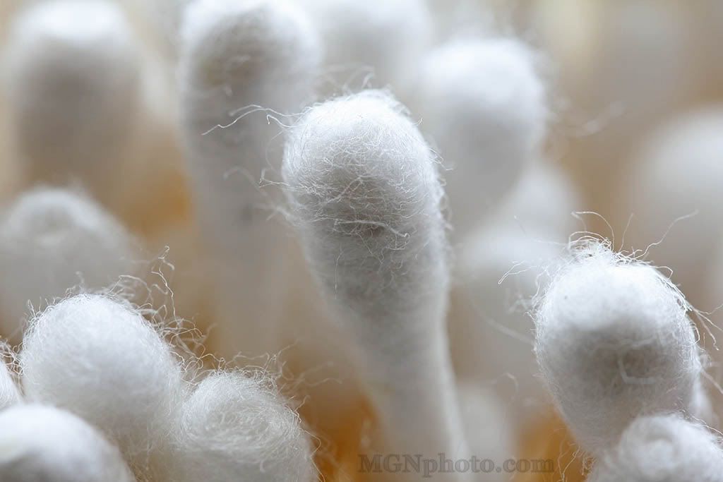 IMAGE: http://i86.photobucket.com/albums/k95/mgnphoto/MGNphoto_6852.jpg