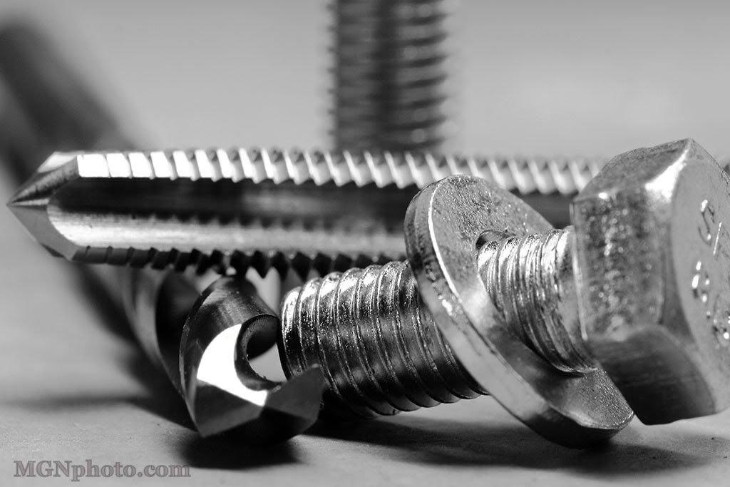 IMAGE: http://i86.photobucket.com/albums/k95/mgnphoto/MGNphoto_7584.jpg