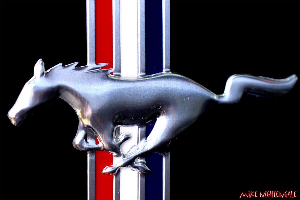 IMAGE: http://i86.photobucket.com/albums/k95/mgnphoto/mustang.jpg